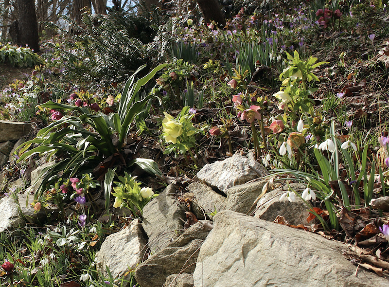 david culp brandywine cottage