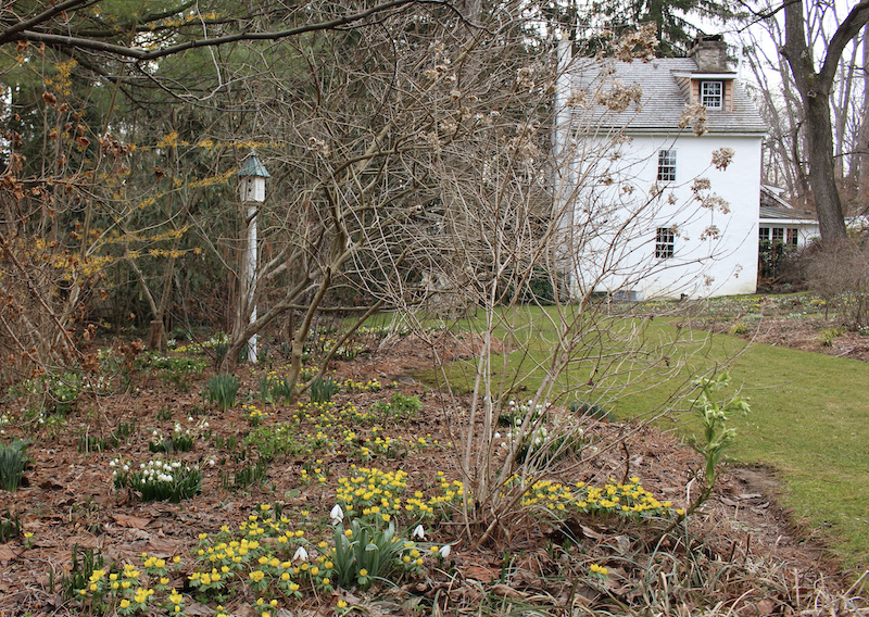 david culp brandywine cottage