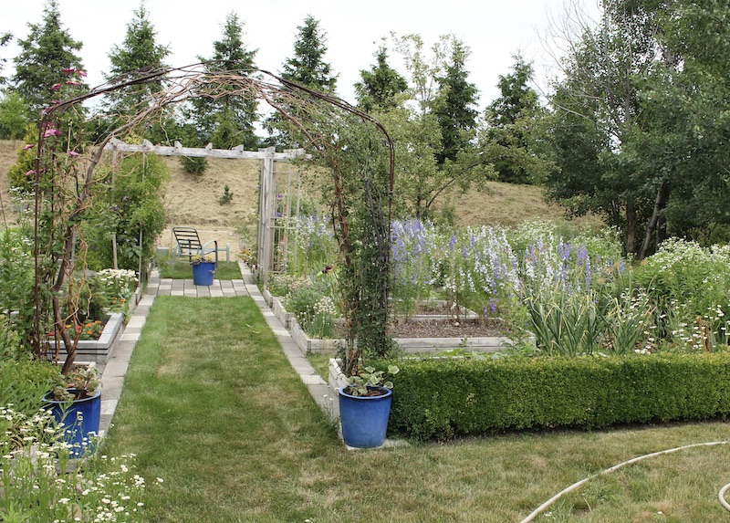 potager with larkspur