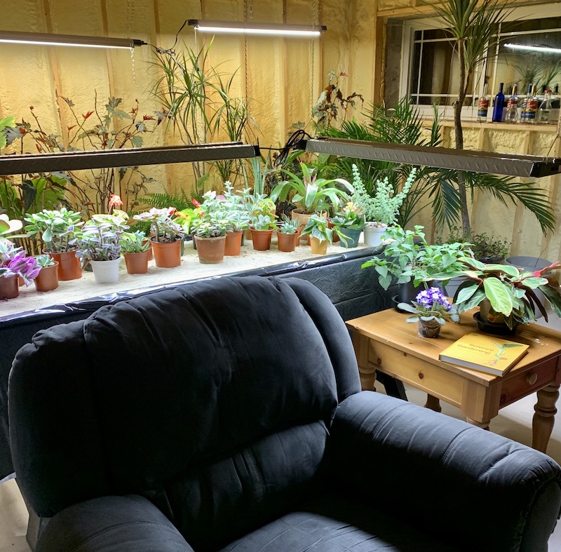 indoor garden under lights