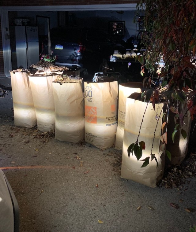 using leaves in the garden