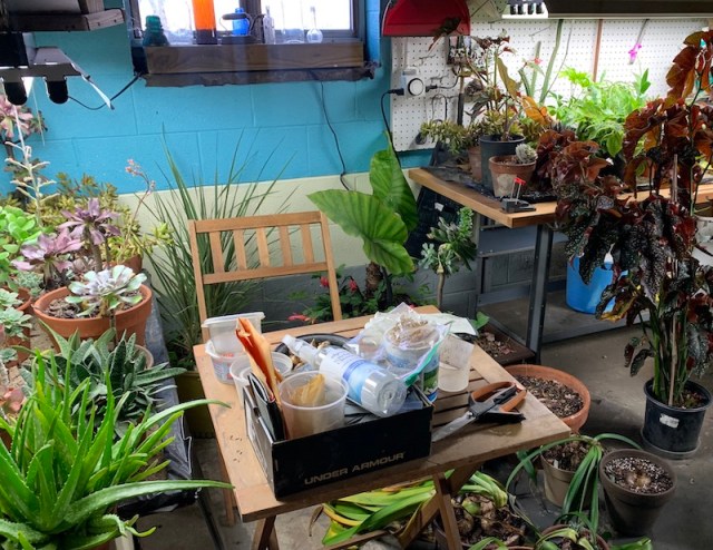 winter garden potting shed