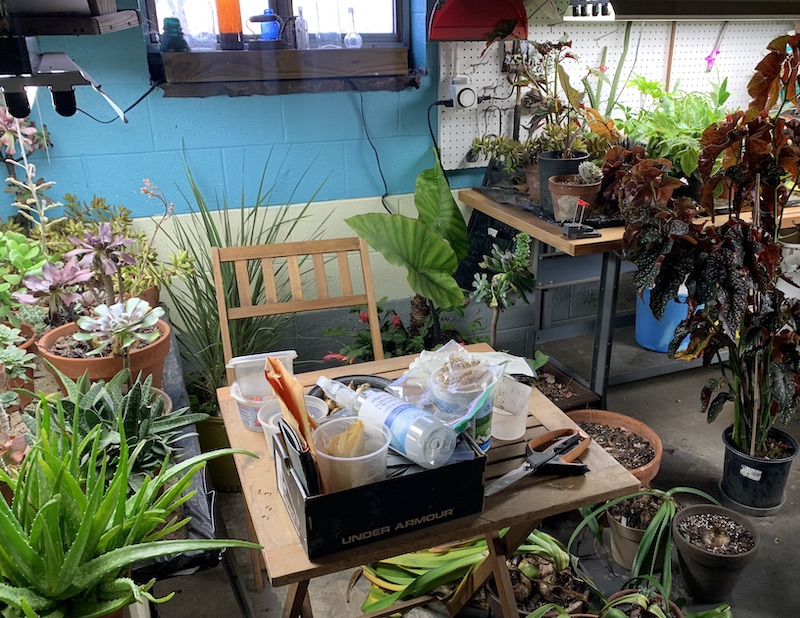 winter garden potting shed