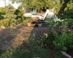 garden destruction