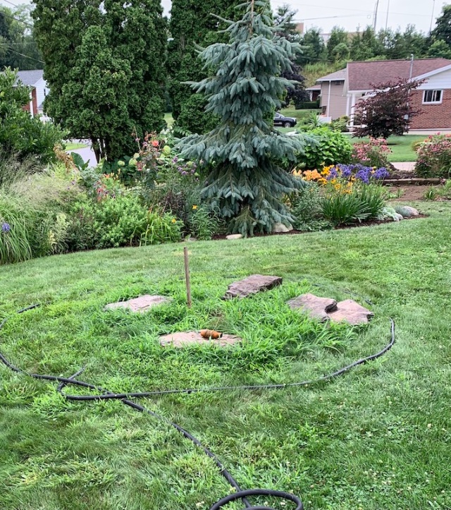 making a rock garden