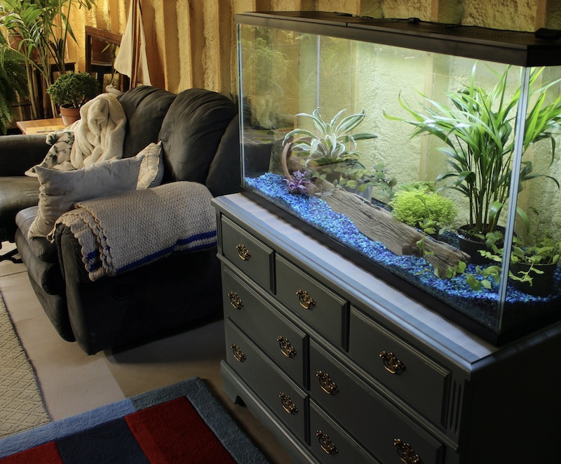 55 gallon terrarium