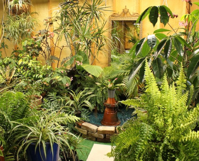 indoor conservatory