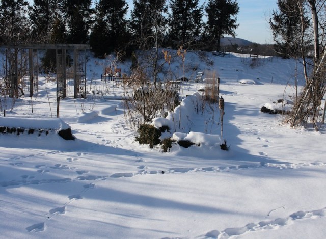 pennsylvania winter garden