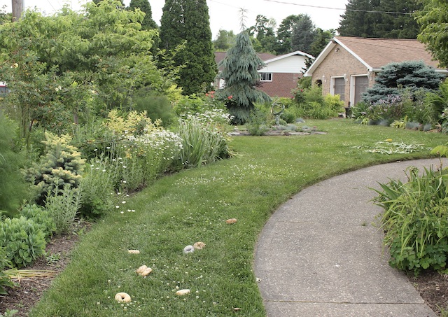 front garden