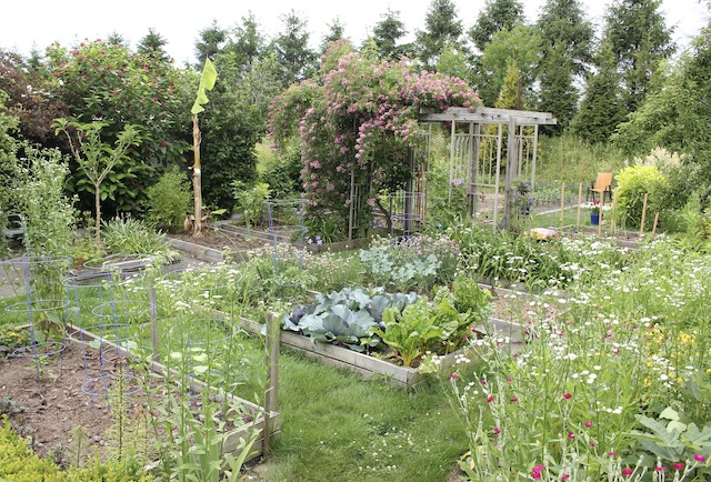 potager garden