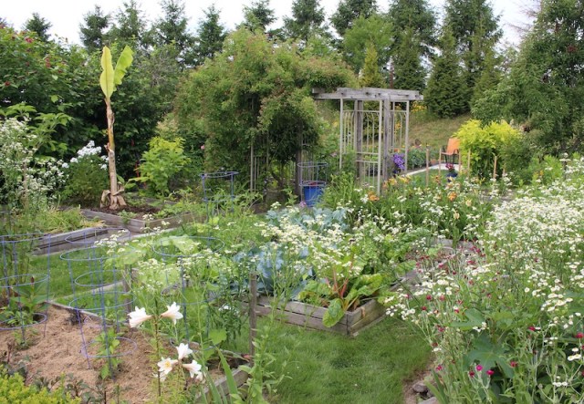 june potager