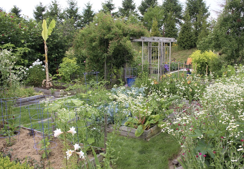 june potager