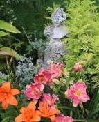 a wild daylily garden
