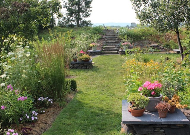 summer perennial border