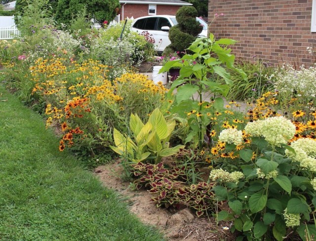 summer perennial border