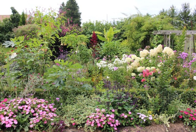 summer potager