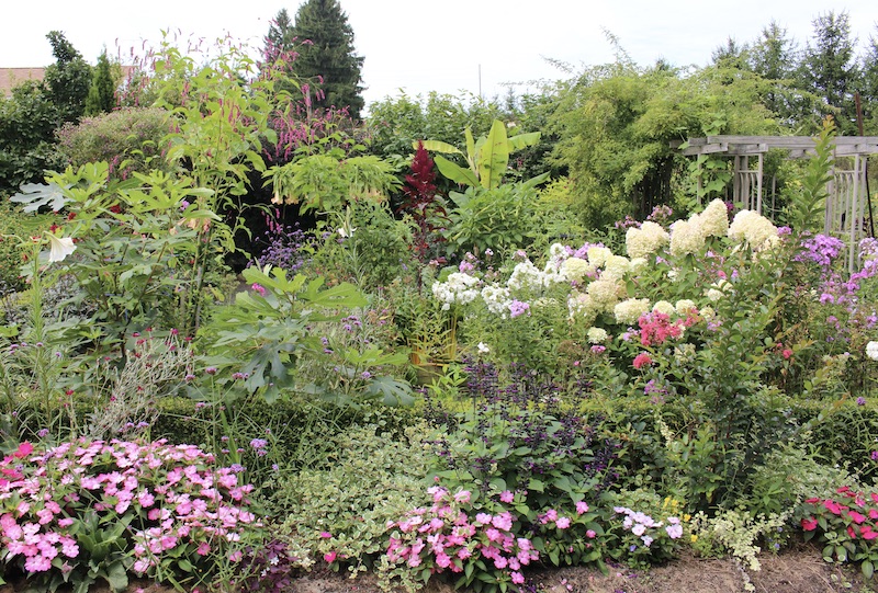 summer potager