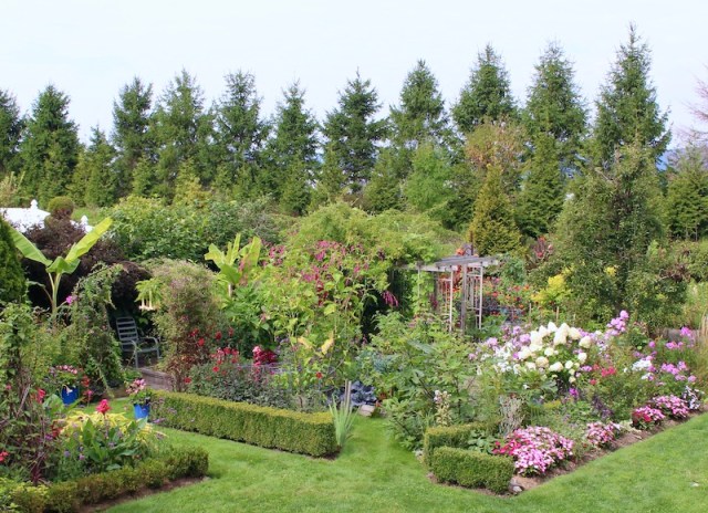summer potager