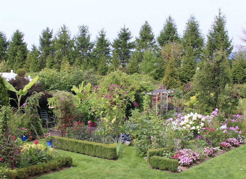 summer potager