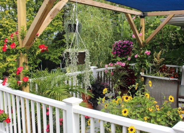 summer deck planters