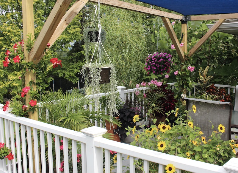 summer deck planters